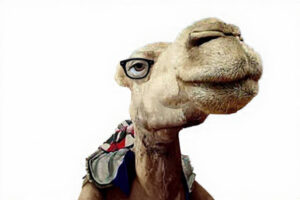 WhatsApp Image 2025-11-12 at 19.40.12_17325869